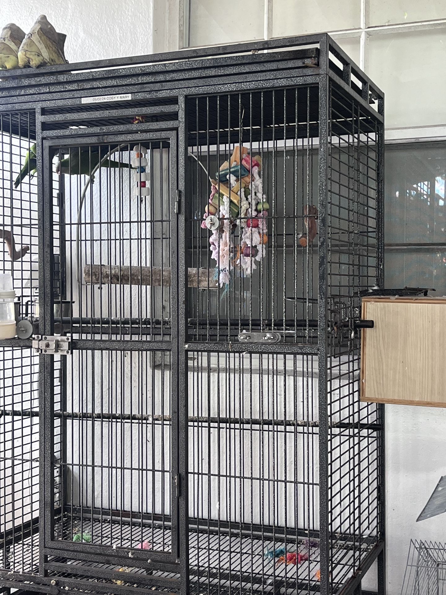 Quaker Con Jaula for Sale in Hialeah, FL OfferUp