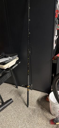 Deep Sea Rod and Reel combo