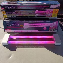 Grow Lights 19 Watt.. $1,800 For 240 Lights 