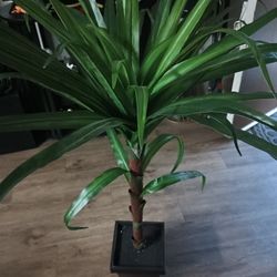Artificial Palm Tree