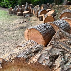 Wood Rounds 
