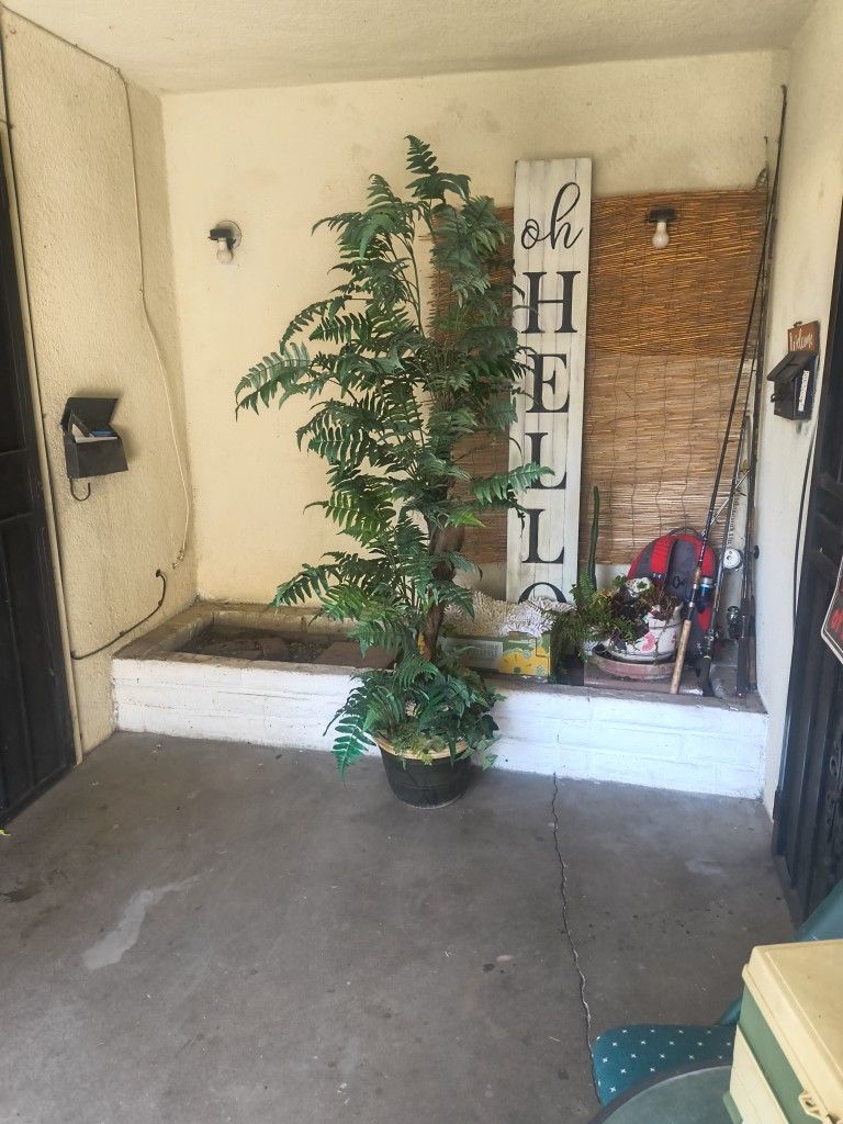 51/2 Foot Artificial Fern 