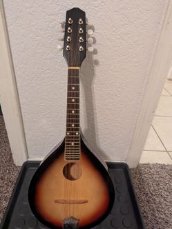 Mandolin guitar