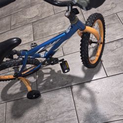 Hot Wheels Kids Bike