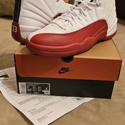  Jordan Retro 12 Cherry DMP Gratitude 5 Maniere Dusk Military Cement OG  Black Kobe Bred Grinch Chicago Blue Playoff 1 3 4 5 6 7 8 13 11 13 Reverse DB