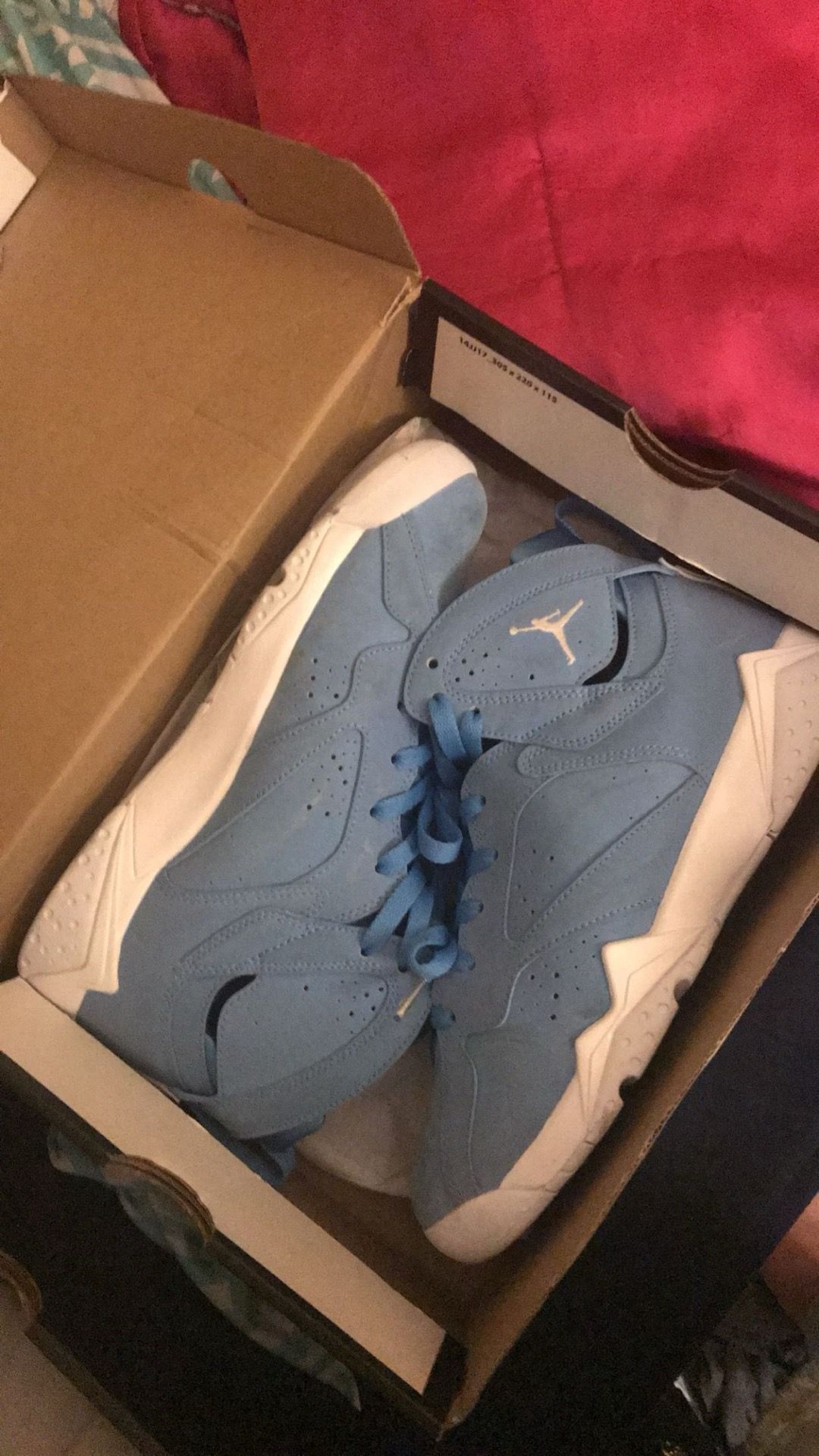 Jordans Pantone 7