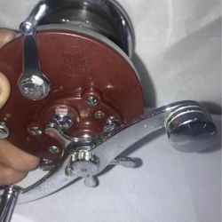 Penn Jigmaster 500 Fishing Reel
