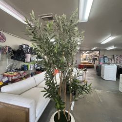 8ft Artificial Olive Tree With White Pot 