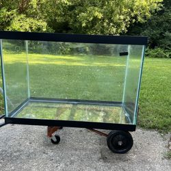 65 Gallon Fish Tank 