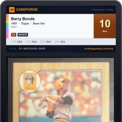 🚨 SLABS FOR $20?! LET’S GO 🚨