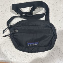 Patagonia Fanny Pack