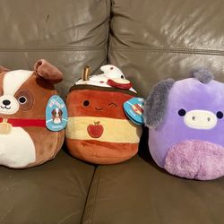Squishmallows Sassafras the Saint Bernard; or Squishmallows Mead Red Apple Cider or Squishmallows Deacon the Donkey. All 8” Squishmallows. SO soft and