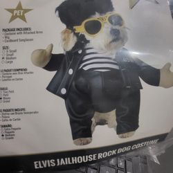 pet costume 