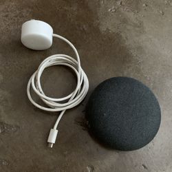 Google Home (Barely Used)