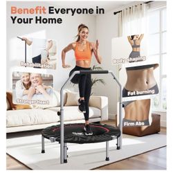 Rebounder Like New 500lbs Max 