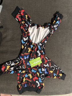 Dog Outfit And Red Collar 