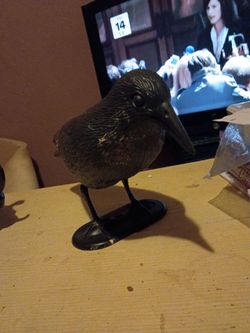 Black Crow for great luck