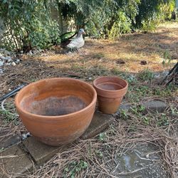 2 Flower Pots 