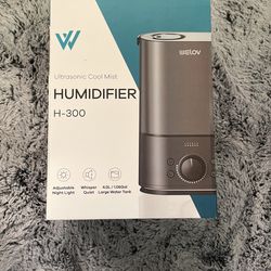 Ultrasonic Cool Mist Humidifier H-300