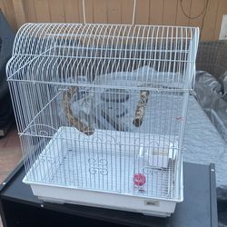 Bird cage