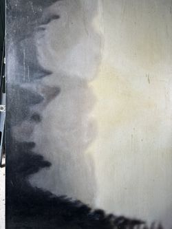 Trees And Canyon Oil On Canvas