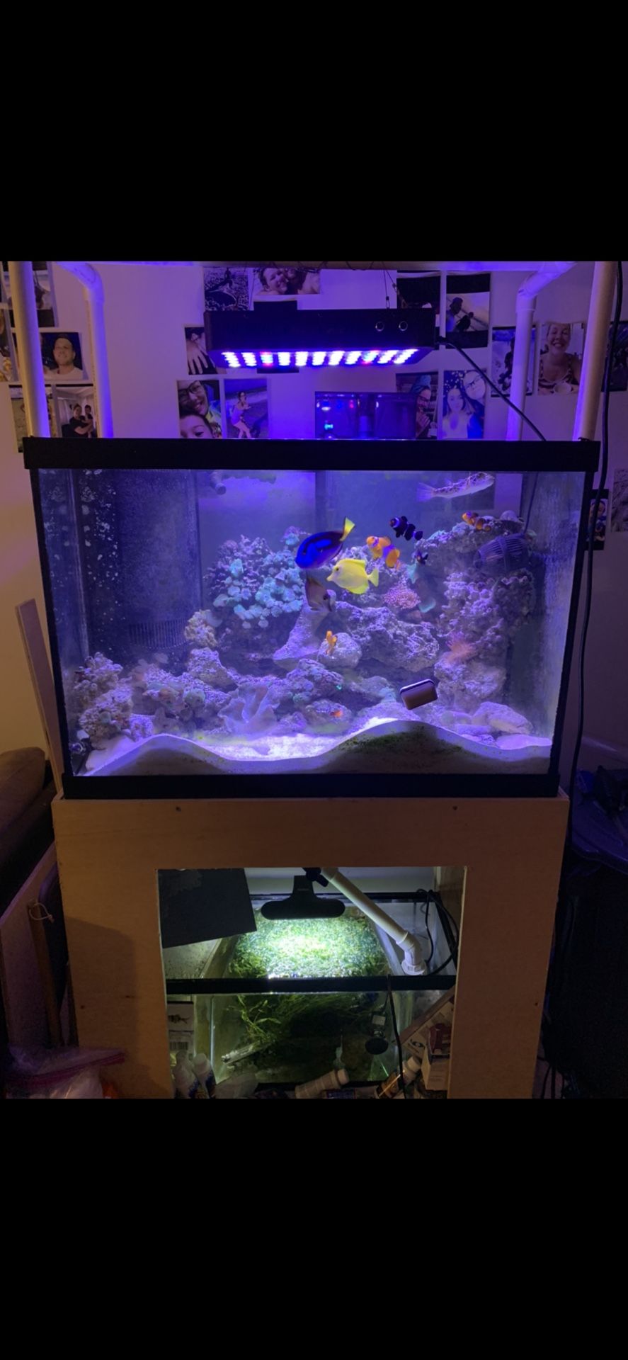 Complete 65 gallon tank no fish still has water and live rock