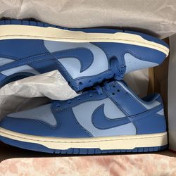 Nike Dunks Low Retro Blue