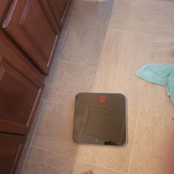 Bathroom Weight Scale 