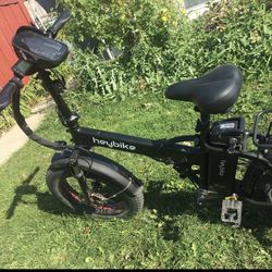 Electric Bike