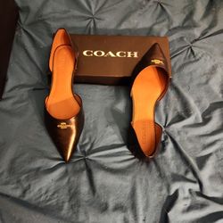 NEW IN BOX WOMENS SIZE 10 B POINTED TOE FLATS