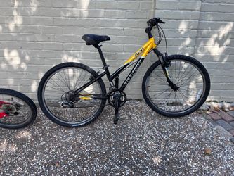 Trek bicycle