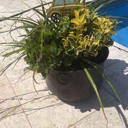 Planted Patio Pot