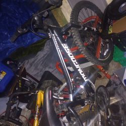 Mongoose Bike