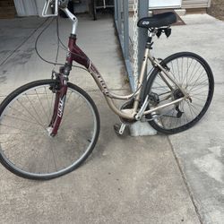 Great Nice TREK Bike $100 