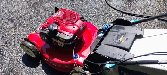 Toro