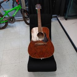 Alvarez ACOUSTIC