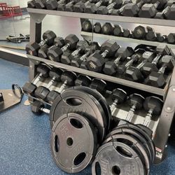Weights Dumbbells Bumper Plates Benches And Racks for Sale in