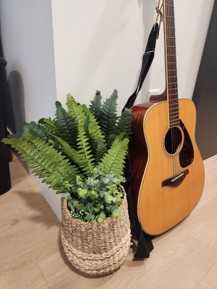 Plant Basket!