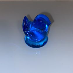 Glass Bluebird 