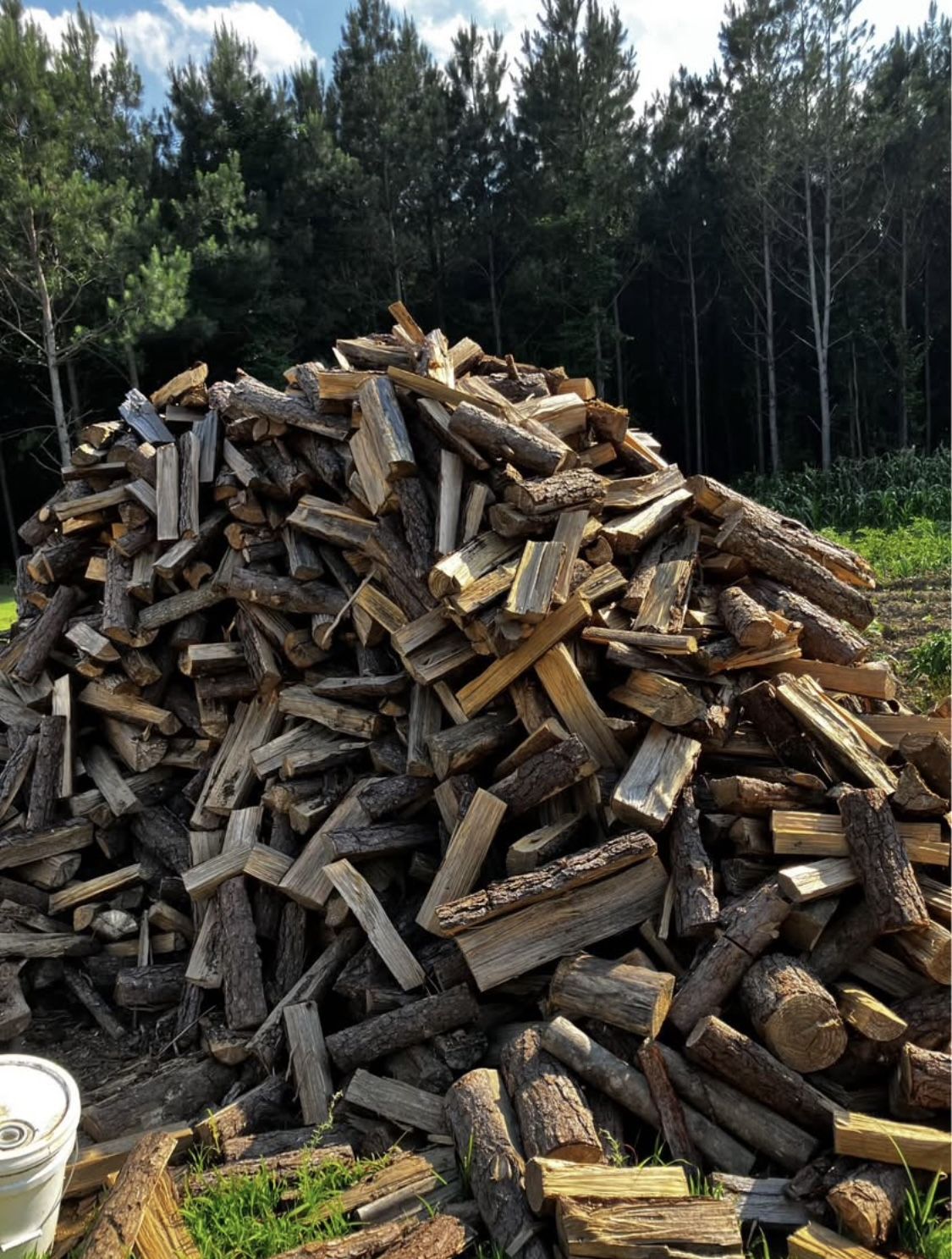 Fire Wood