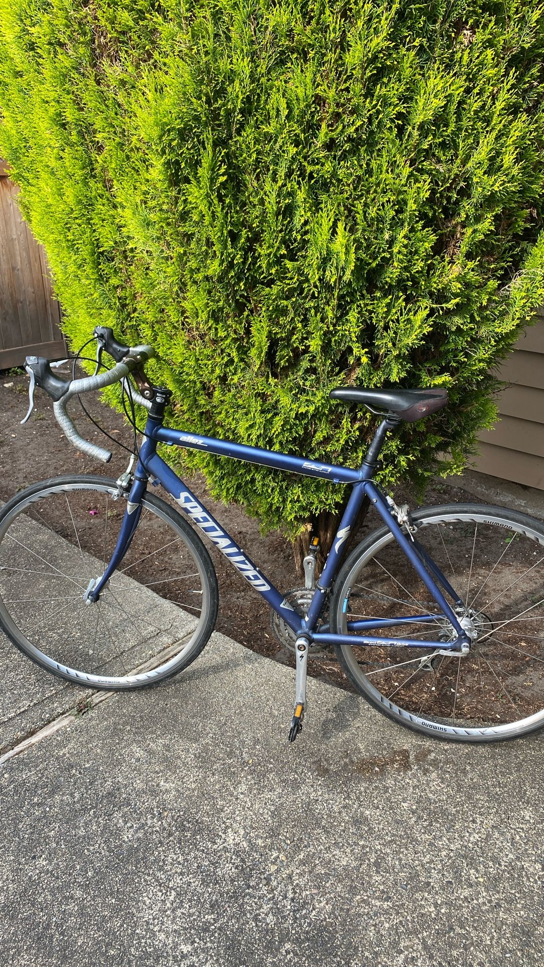 Allez Specialized Road Bike