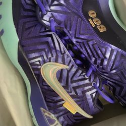 LeBron Nxxt Size 10.5