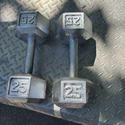 Bar Bells 25 Lb. 35$