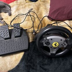 Ps3 Thrustmaster Wheel