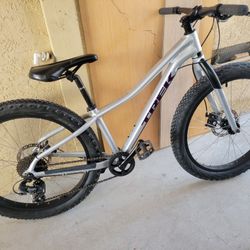 24"Wheel Trek Roscoe 7 Speed Hybrid Comfort 