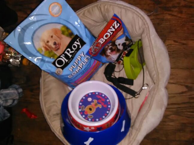 Dog leash food bed treats