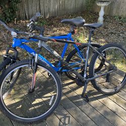 2 Men’s Bicycles Schwinn / Nishiki 