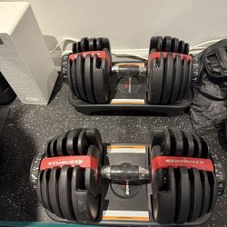 Bowflex dumbbells (adjustable)