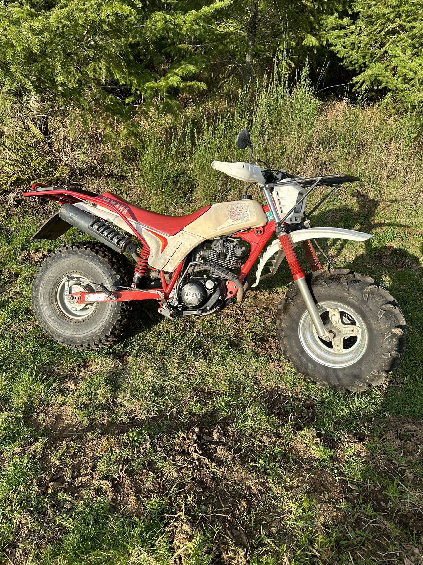 1985 Yamaha Big Wheel 200