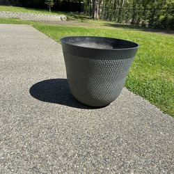 Plant Pot